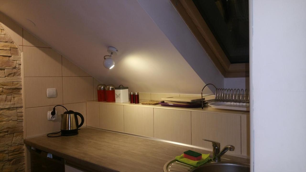 Tatary - U Stanislawy Apartment Zakopane Ngoại thất bức ảnh